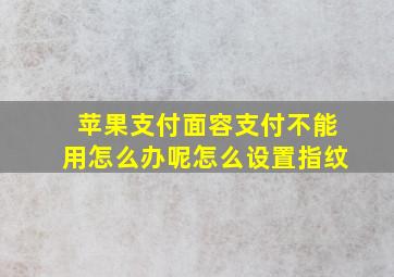 苹果支付面容支付不能用怎么办呢怎么设置指纹