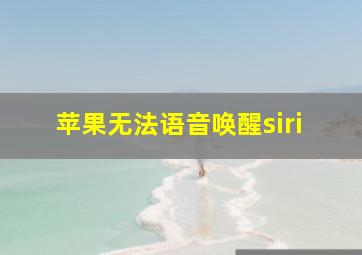 苹果无法语音唤醒siri