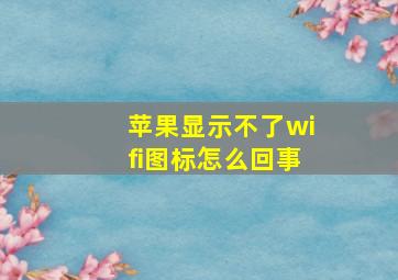 苹果显示不了wifi图标怎么回事