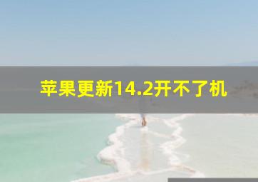 苹果更新14.2开不了机