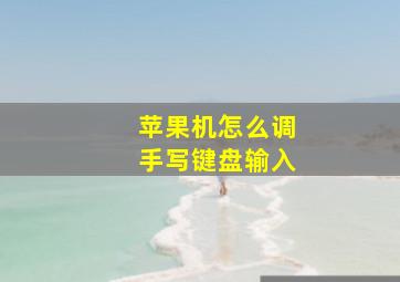 苹果机怎么调手写键盘输入