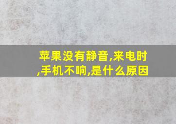 苹果没有静音,来电时,手机不响,是什么原因