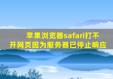 苹果浏览器safari打不开网页因为服务器已停止响应