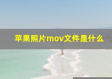 苹果照片mov文件是什么