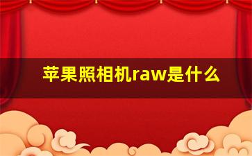 苹果照相机raw是什么