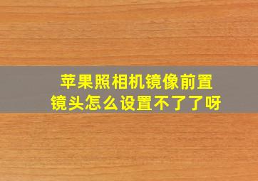 苹果照相机镜像前置镜头怎么设置不了了呀