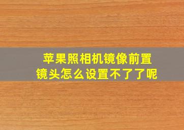 苹果照相机镜像前置镜头怎么设置不了了呢