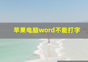 苹果电脑word不能打字