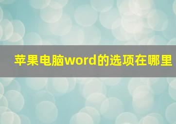 苹果电脑word的选项在哪里