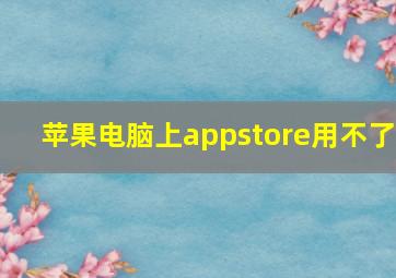 苹果电脑上appstore用不了