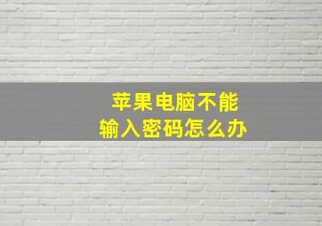 苹果电脑不能输入密码怎么办