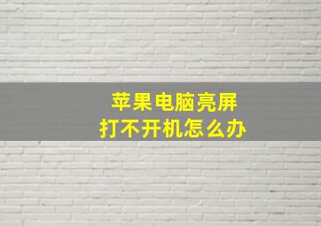 苹果电脑亮屏打不开机怎么办