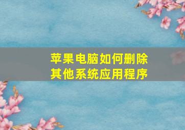 苹果电脑如何删除其他系统应用程序