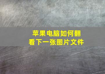 苹果电脑如何翻看下一张图片文件