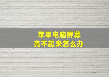 苹果电脑屏幕亮不起来怎么办