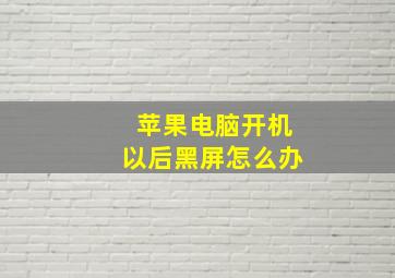 苹果电脑开机以后黑屏怎么办