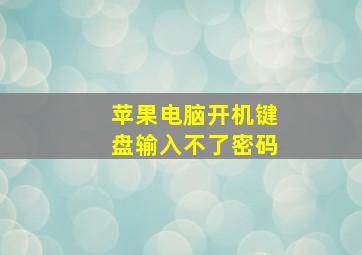 苹果电脑开机键盘输入不了密码