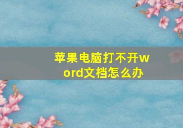 苹果电脑打不开word文档怎么办