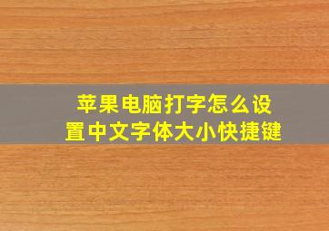 苹果电脑打字怎么设置中文字体大小快捷键