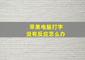 苹果电脑打字没有反应怎么办