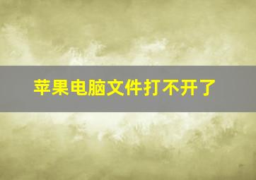 苹果电脑文件打不开了