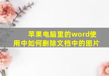 苹果电脑里的word使用中如何删除文档中的图片