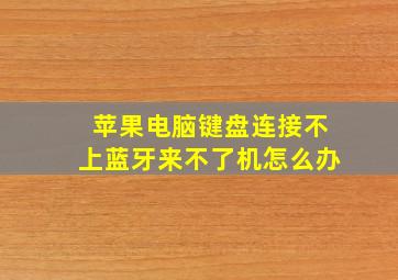 苹果电脑键盘连接不上蓝牙来不了机怎么办