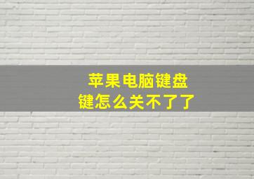 苹果电脑键盘键怎么关不了了