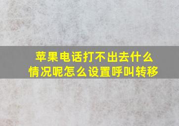 苹果电话打不出去什么情况呢怎么设置呼叫转移