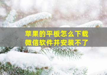 苹果的平板怎么下载微信软件并安装不了