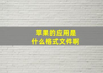 苹果的应用是什么格式文件啊