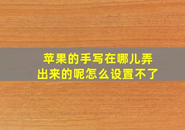 苹果的手写在哪儿弄出来的呢怎么设置不了