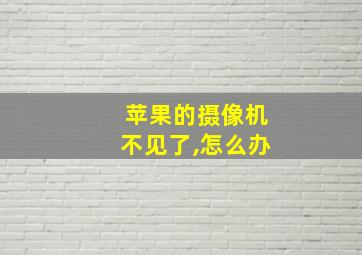 苹果的摄像机不见了,怎么办