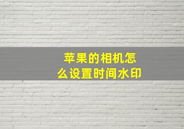 苹果的相机怎么设置时间水印