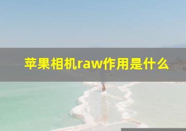 苹果相机raw作用是什么