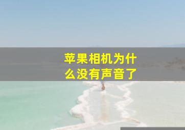 苹果相机为什么没有声音了