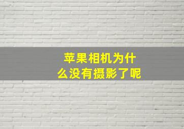 苹果相机为什么没有摄影了呢