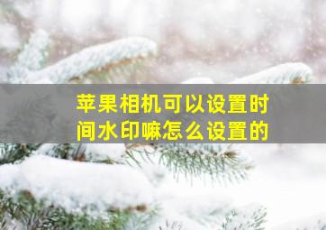 苹果相机可以设置时间水印嘛怎么设置的