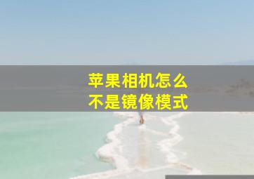 苹果相机怎么不是镜像模式