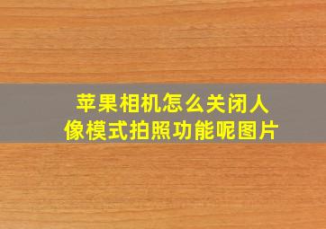 苹果相机怎么关闭人像模式拍照功能呢图片