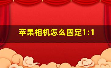 苹果相机怎么固定1:1