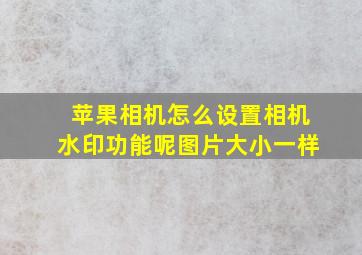 苹果相机怎么设置相机水印功能呢图片大小一样