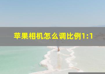 苹果相机怎么调比例1:1