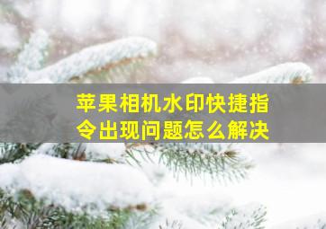 苹果相机水印快捷指令出现问题怎么解决