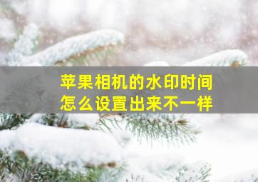 苹果相机的水印时间怎么设置出来不一样