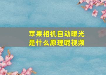 苹果相机自动曝光是什么原理呢视频