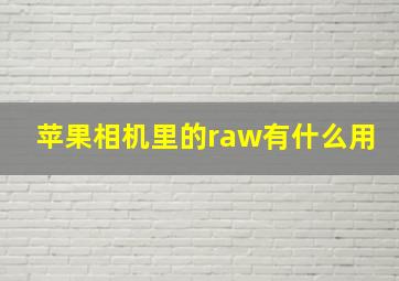 苹果相机里的raw有什么用