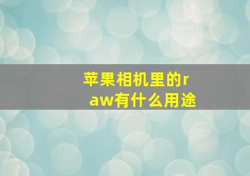 苹果相机里的raw有什么用途