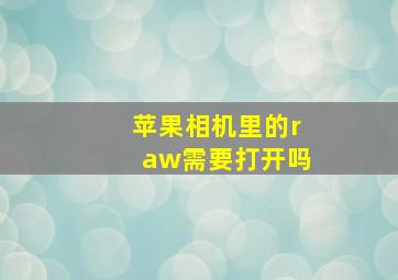 苹果相机里的raw需要打开吗