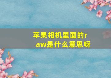 苹果相机里面的raw是什么意思呀